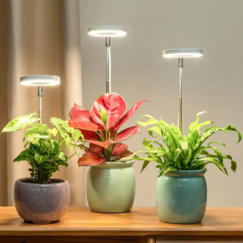 Indoor Garden Kit - LED Grow Light Full Spectrum Plant