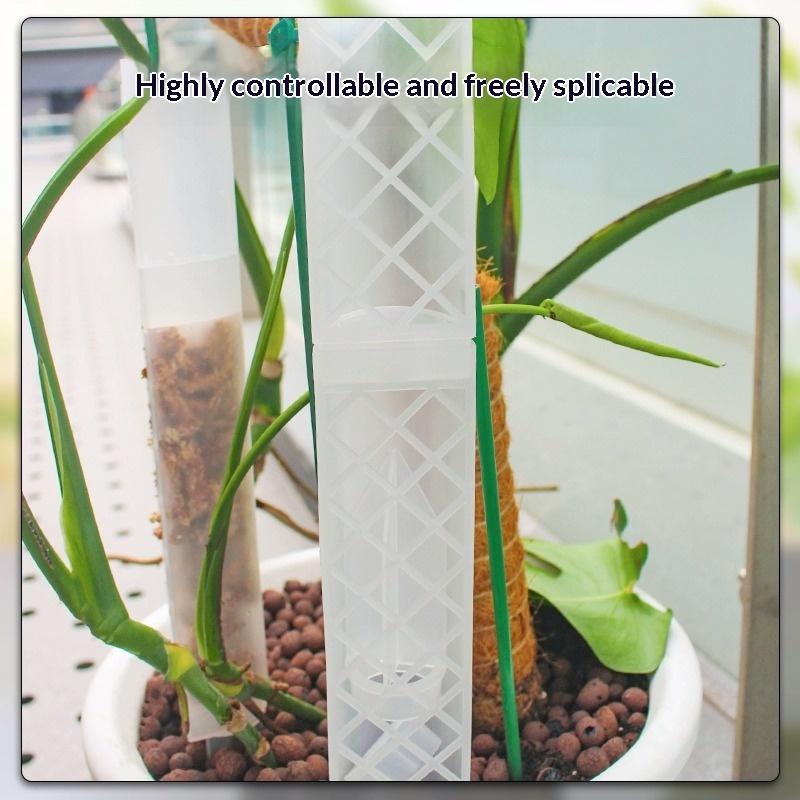 New D-Shaped Self-Watering Pla - Automatic Watering ulasan dan harga