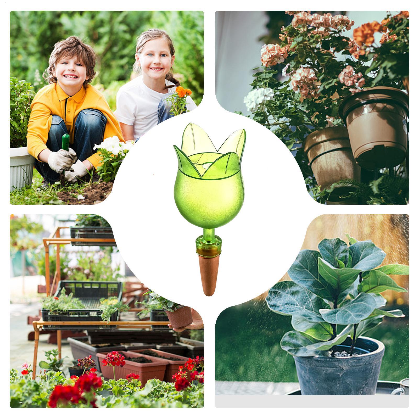 Plant Self Watering Devices Pl - Self Watering Planter ulasan dan harga