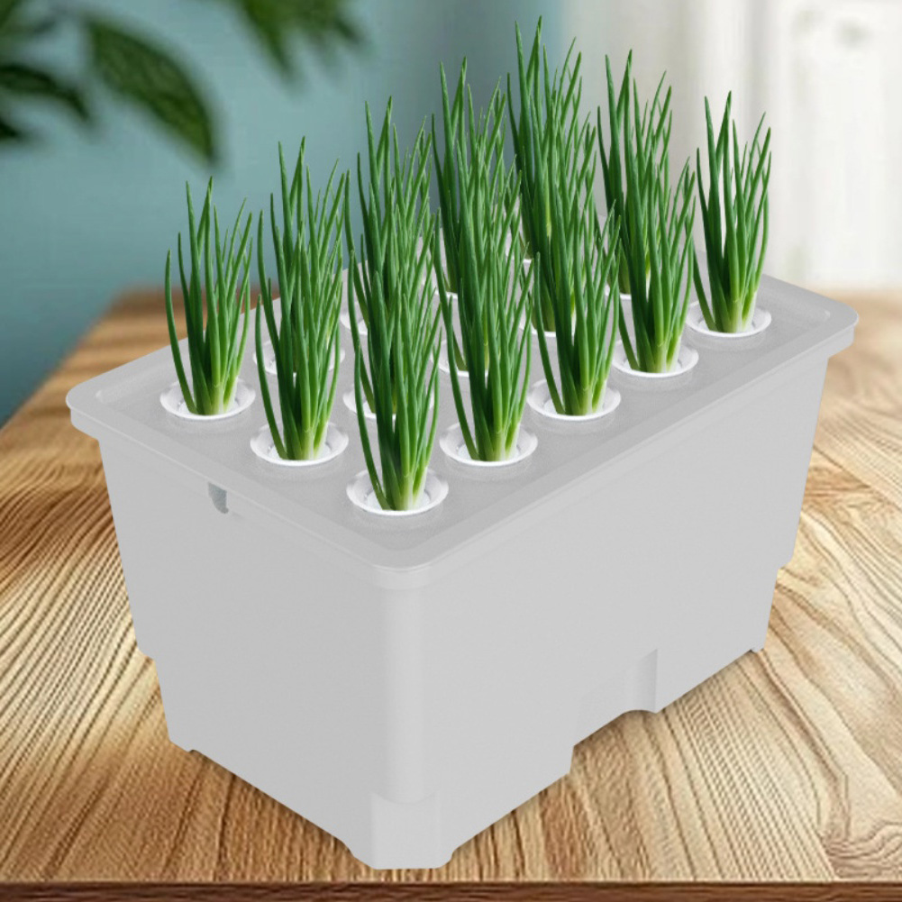 For Countertops For Windowsill - Plant Monitor ulasan dan harga