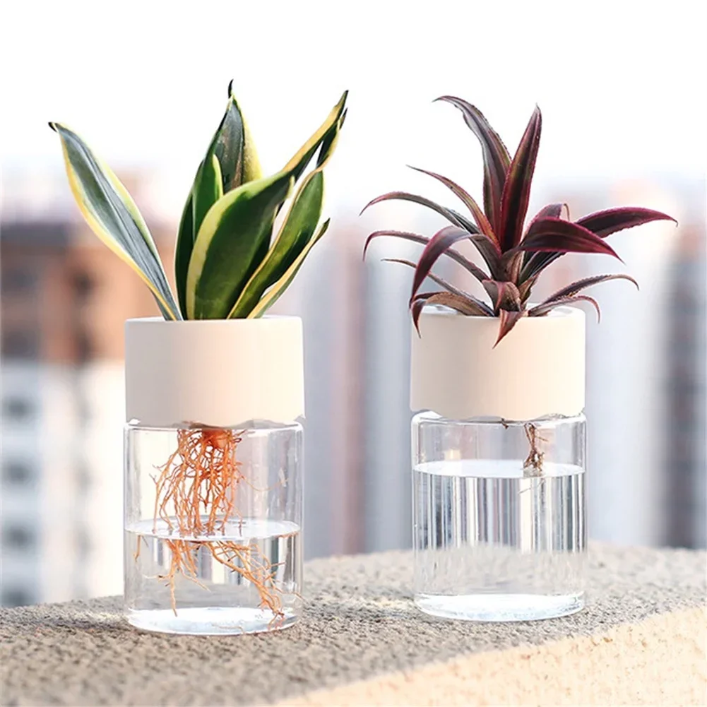 Mini Hydroponic Flower Pot Tra - Hydroponic Grow Pod ulasan dan harga