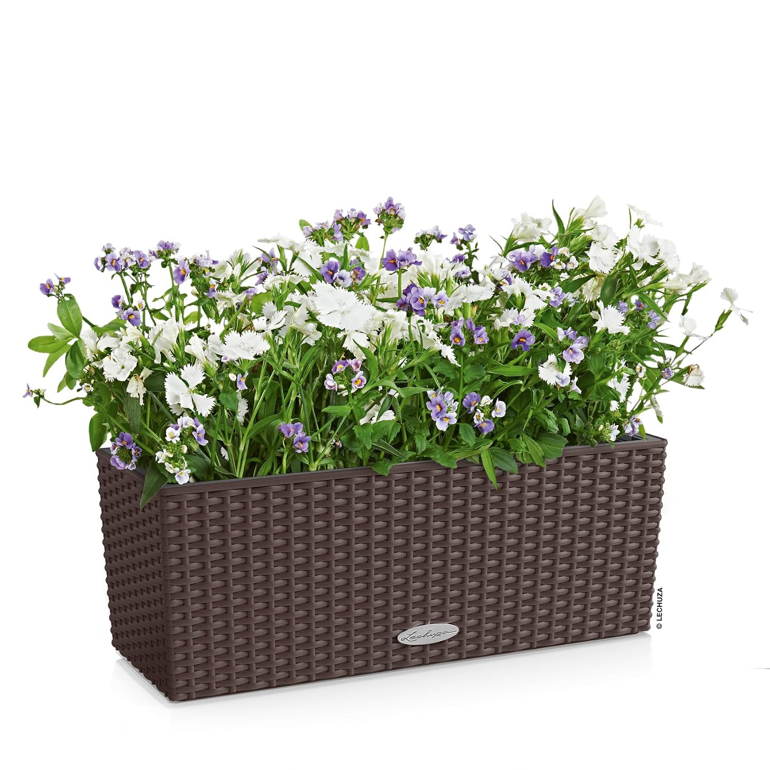 BALCONERA Cottage 50 Mocha, Se - Self Watering Planter ulasan dan harga