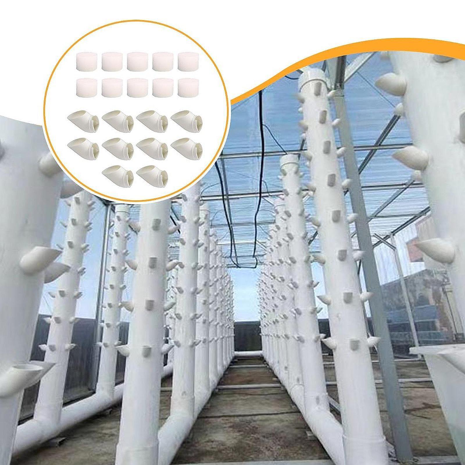 10 Pieces Hydroponic Colonizat - Hydroponic Tower ulasan dan harga