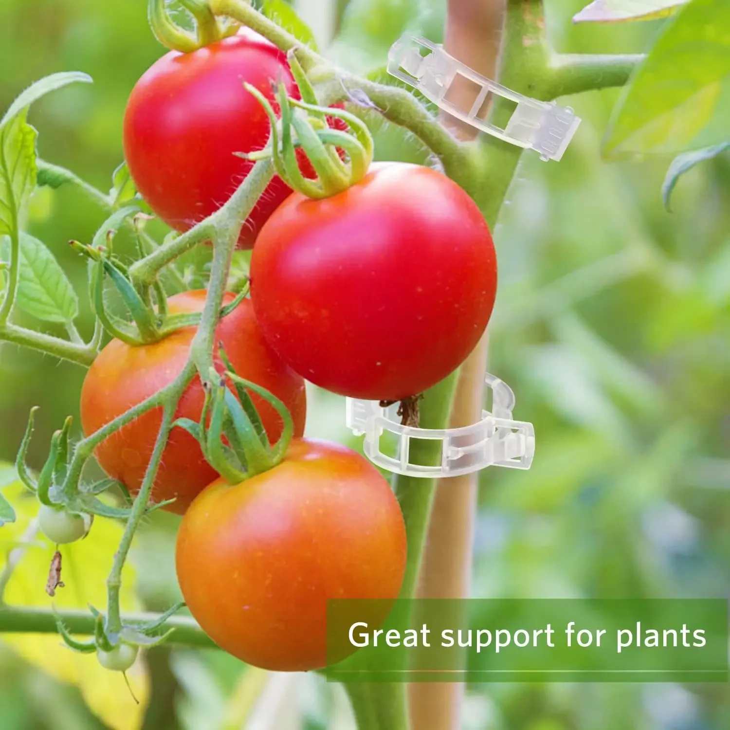 Plant Support Clips Reusable P - Smart Garden Kit ulasan dan harga