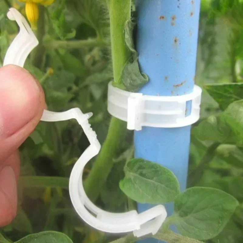 Plant Support Clips Reusable P - Smart Garden Kit ulasan dan harga