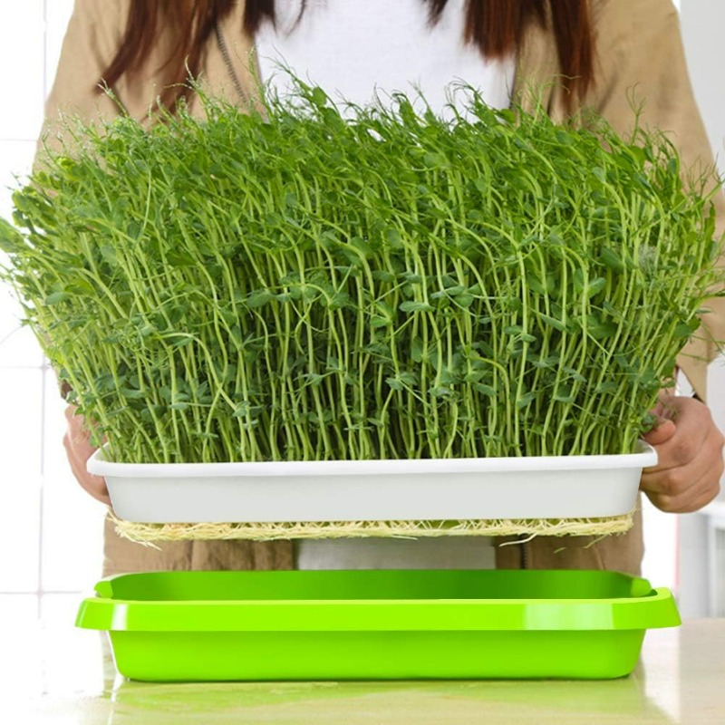 Microgreens Sprout Tray Germin - Hydroponic Grow Pod ulasan dan harga