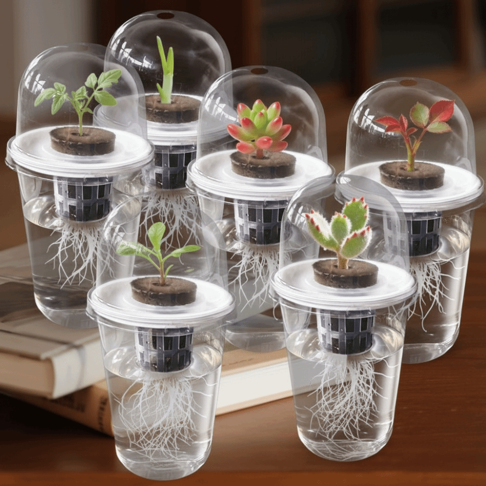 1-5pc Visible Clear Plants Ger - Hydroponic Grow Pod ulasan dan harga