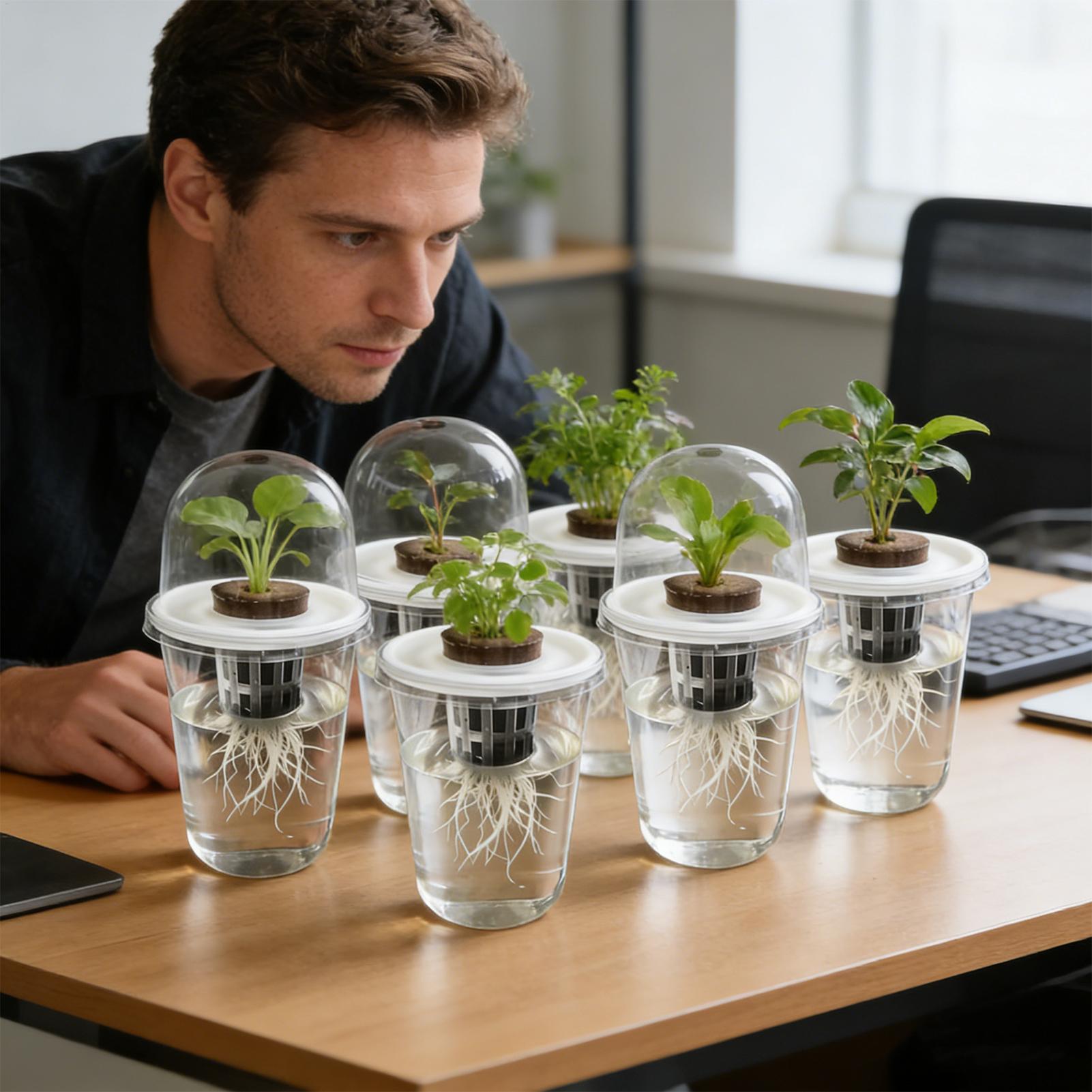 1-5pc Visible Clear Plants Ger - Hydroponic Grow Pod ulasan dan harga