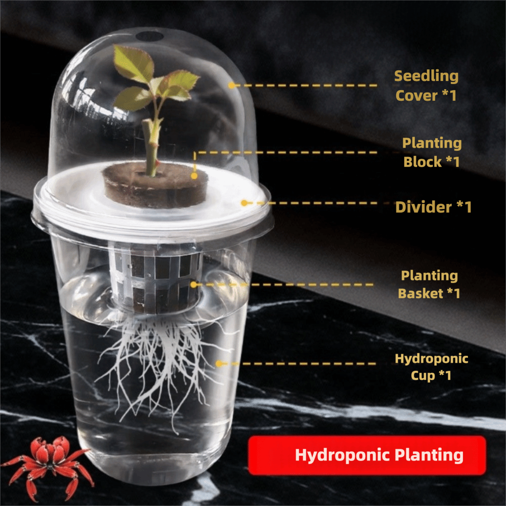 1-5pc Visible Clear Plants Ger - Hydroponic Grow Pod ulasan dan harga