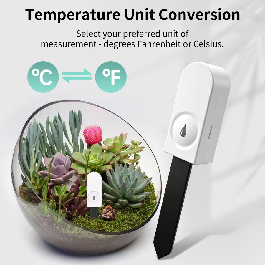 Zigbee 3.0 Plant Monitor Soil  - Garden Camera ulasan dan harga