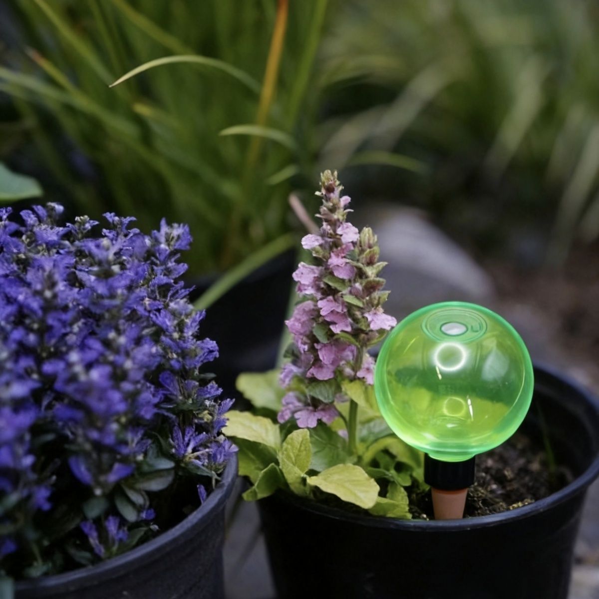 3pcs Large Plant Self Watering - Self Watering Planter ulasan dan harga