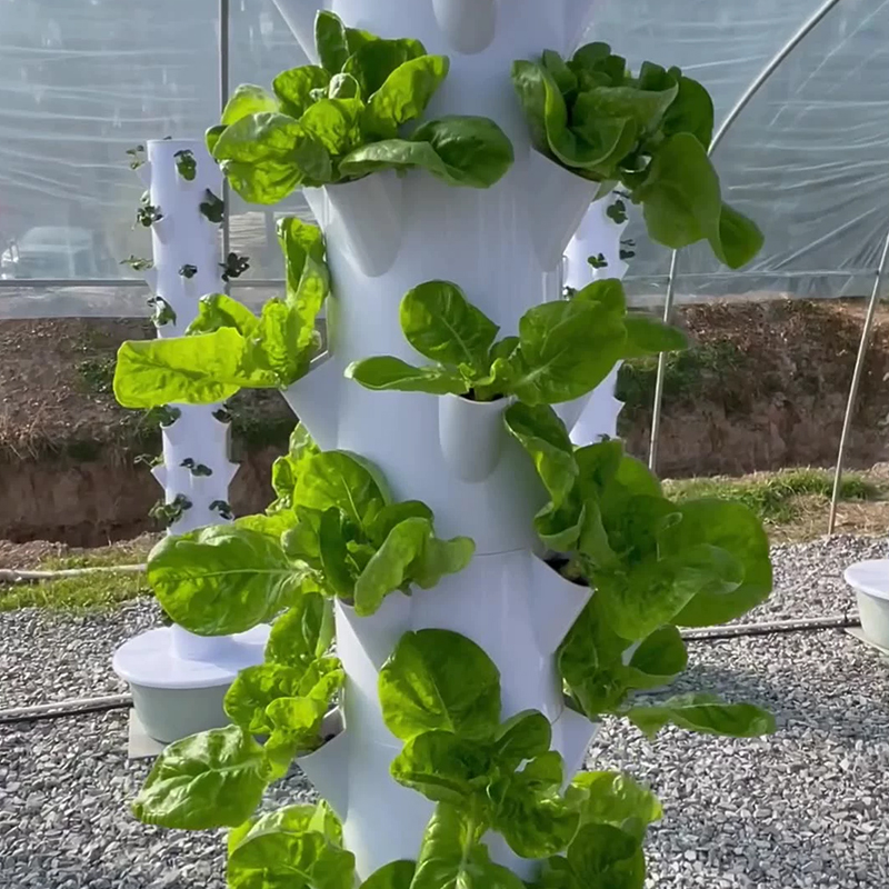 With Led Grow Light Space Tree - Hydroponic Tower ulasan dan harga